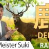 【鹿】(shika/deer) Kanji Radical, Bushu