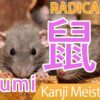 【鼠】(nezumi/ rat) Kanji Radical, Bushu