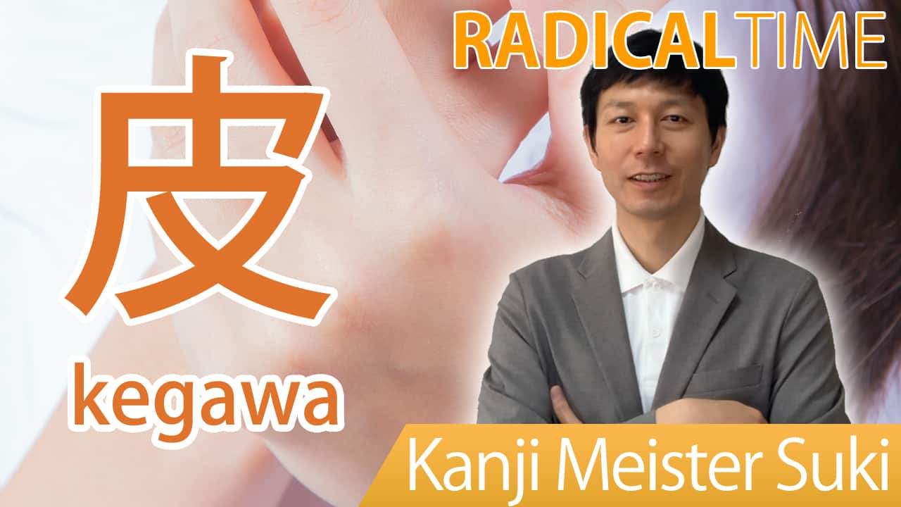 【皮】(kegawa, hinokawa) Kanji Radical, Bushu