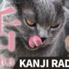 【舌】(Shita/tongue) Kanji Radical, Bushu