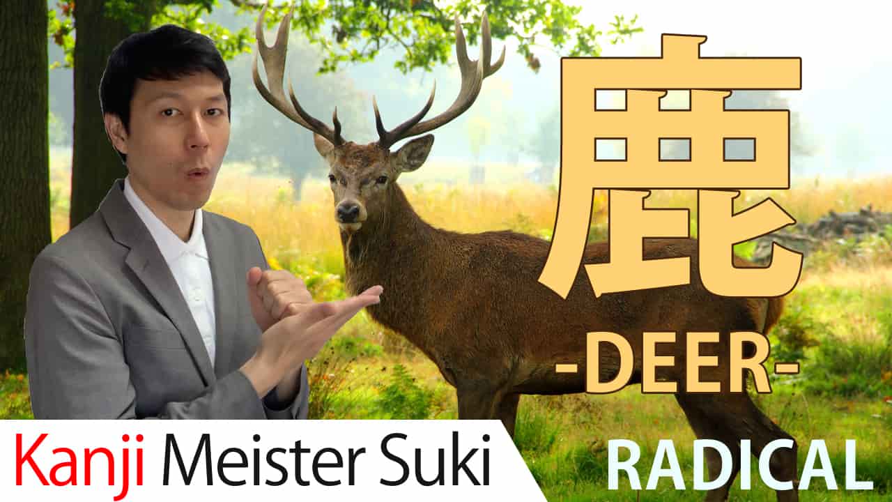 【鹿】(shika/deer) Kanji Radical, Bushu