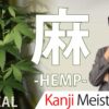 【麻】(asa/hemp) Kanji Radical, Bushu