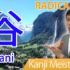 【谷】(tani) Kanji Radical, Bushu